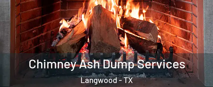 Chimney Ash Dump Services Langwood - TX
