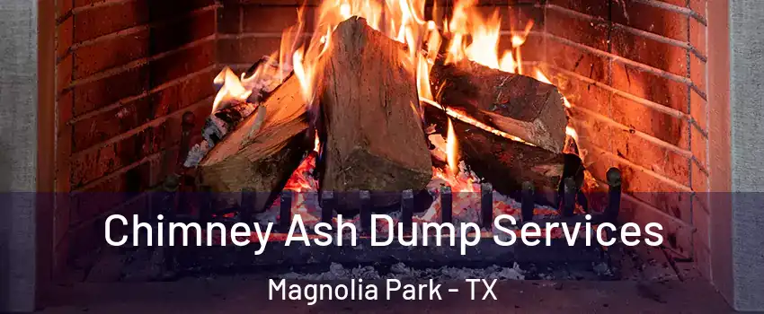 Chimney Ash Dump Services Magnolia Park - TX