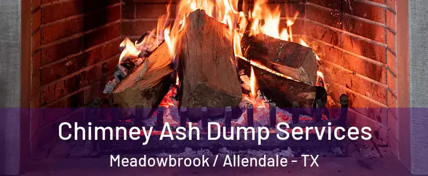 Chimney Ash Dump Services Meadowbrook / Allendale - TX