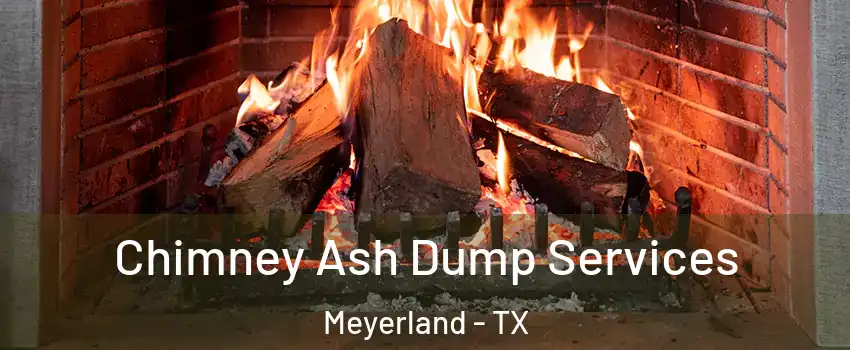 Chimney Ash Dump Services Meyerland - TX