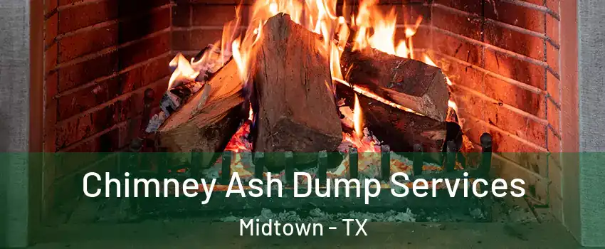 Chimney Ash Dump Services Midtown - TX