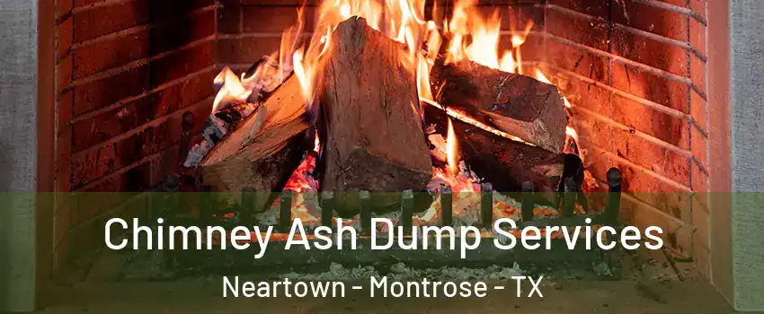 Chimney Ash Dump Services Neartown - Montrose - TX