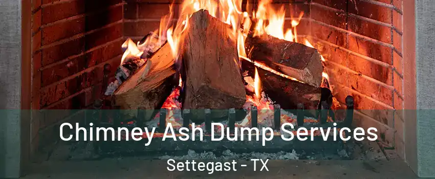 Chimney Ash Dump Services Settegast - TX