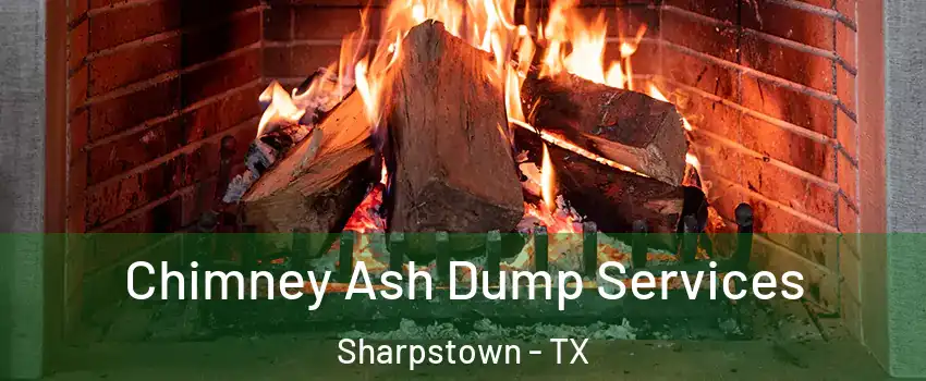 Chimney Ash Dump Services Sharpstown - TX