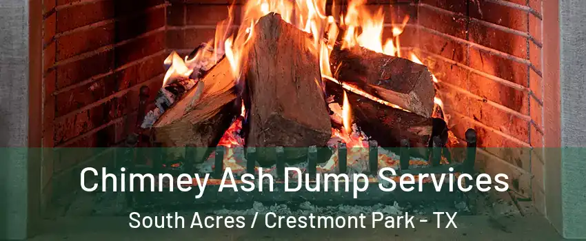 Chimney Ash Dump Services South Acres / Crestmont Park - TX
