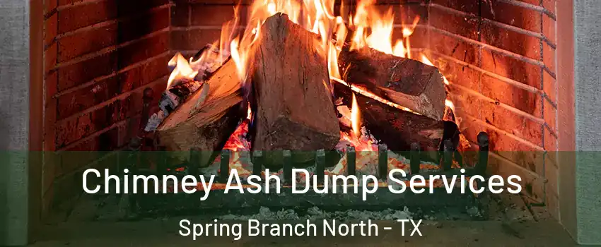 Chimney Ash Dump Services Spring Branch North - TX