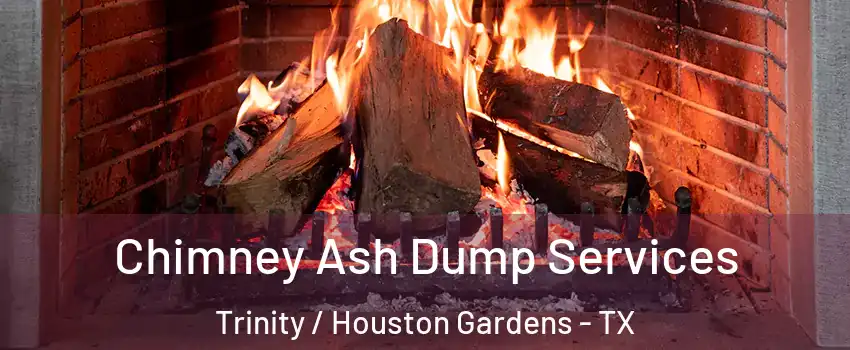 Chimney Ash Dump Services Trinity / Houston Gardens - TX