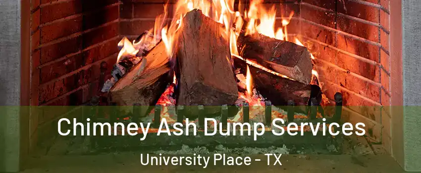Chimney Ash Dump Services University Place - TX