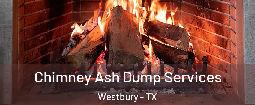 Chimney Ash Dump Services Westbury - TX