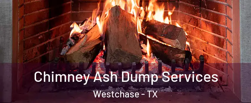 Chimney Ash Dump Services Westchase - TX