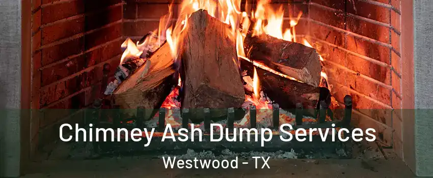 Chimney Ash Dump Services Westwood - TX