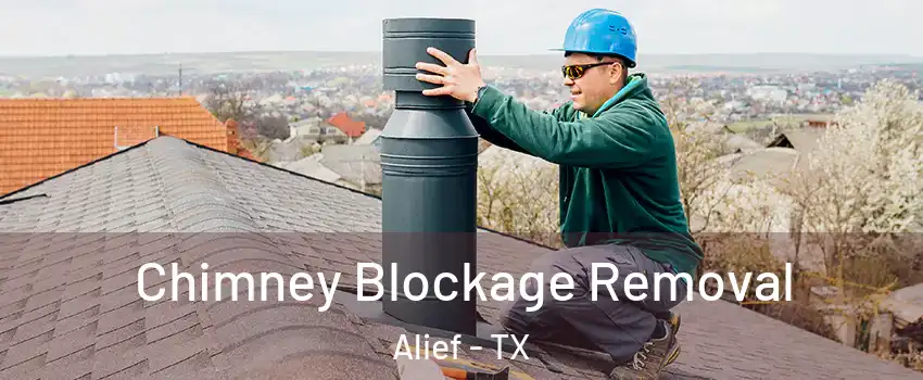 Chimney Blockage Removal Alief - TX
