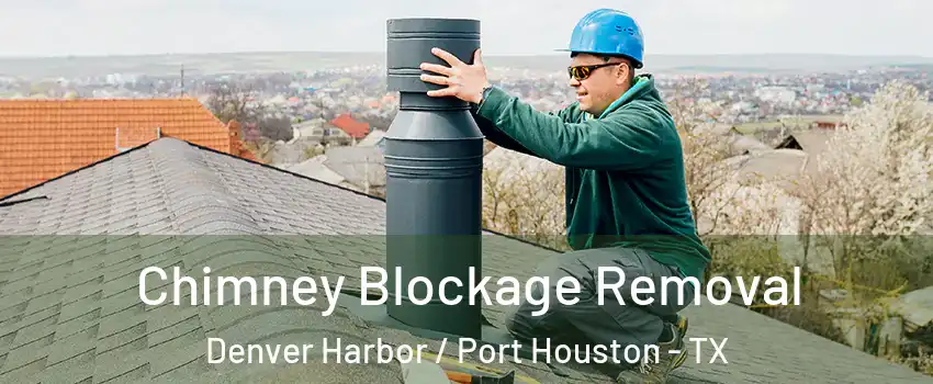 Chimney Blockage Removal Denver Harbor / Port Houston - TX