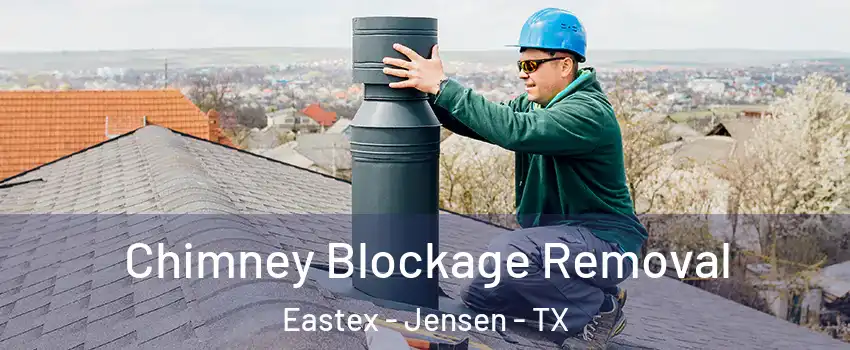 Chimney Blockage Removal Eastex - Jensen - TX
