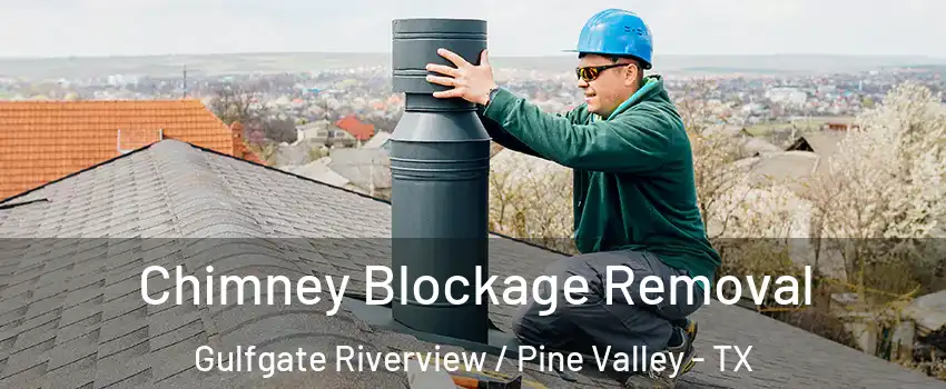 Chimney Blockage Removal Gulfgate Riverview / Pine Valley - TX