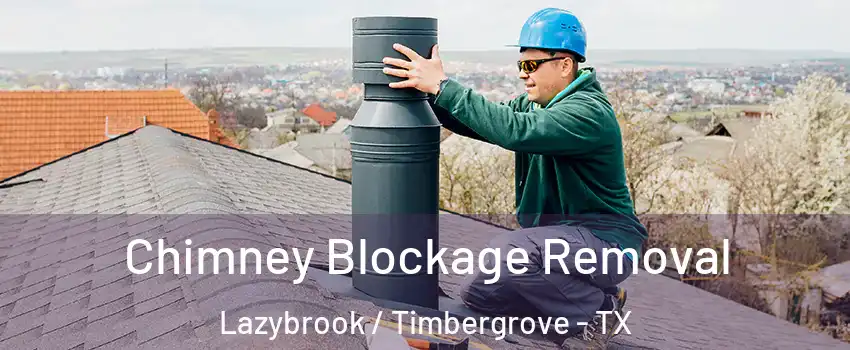 Chimney Blockage Removal Lazybrook / Timbergrove - TX