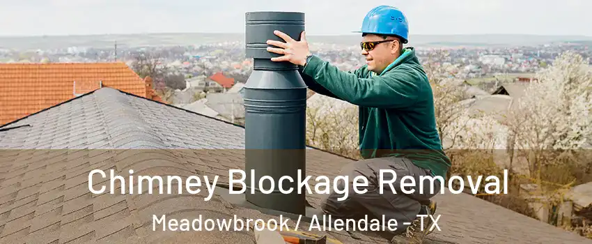 Chimney Blockage Removal Meadowbrook / Allendale - TX