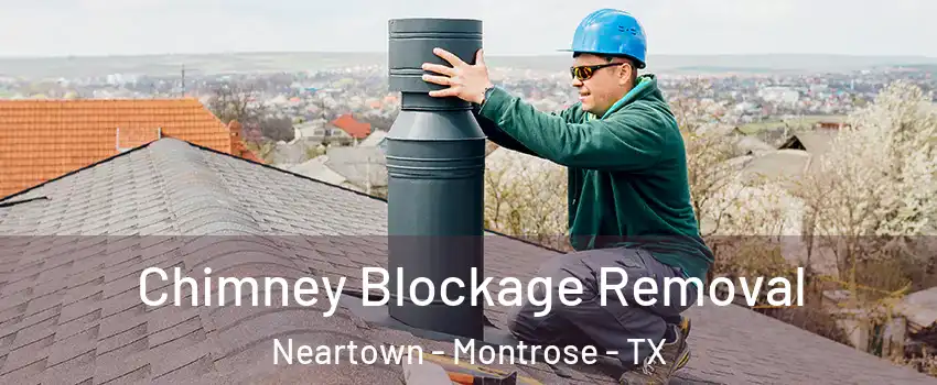 Chimney Blockage Removal Neartown - Montrose - TX