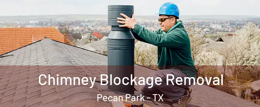 Chimney Blockage Removal Pecan Park - TX