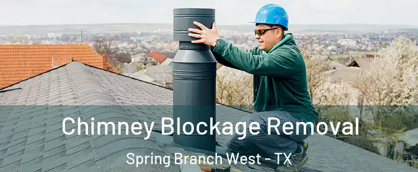 Chimney Blockage Removal Spring Branch West - TX