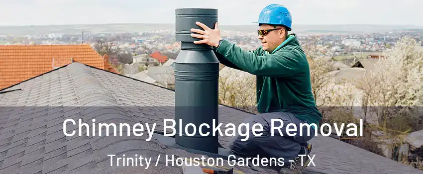 Chimney Blockage Removal Trinity / Houston Gardens - TX