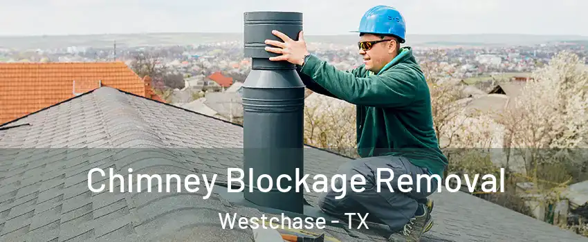 Chimney Blockage Removal Westchase - TX
