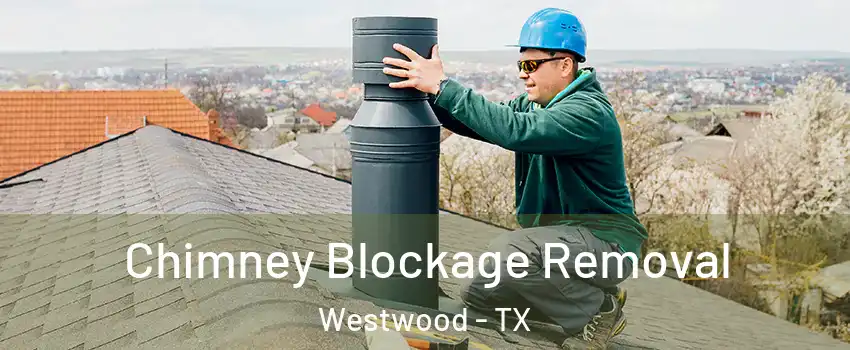 Chimney Blockage Removal Westwood - TX