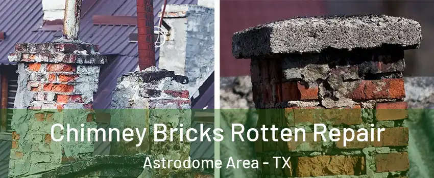 Chimney Bricks Rotten Repair Astrodome Area - TX