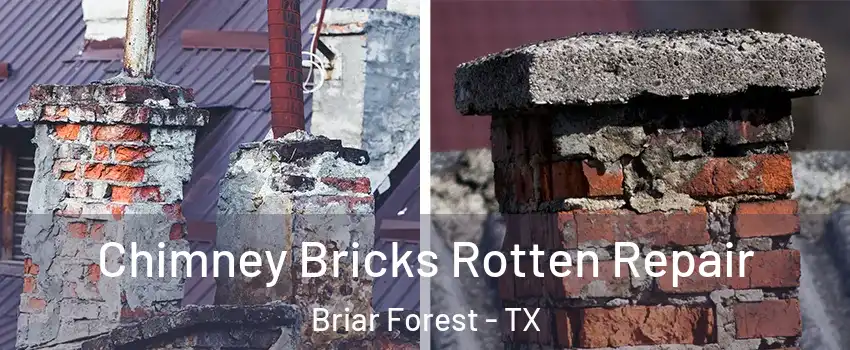 Chimney Bricks Rotten Repair Briar Forest - TX