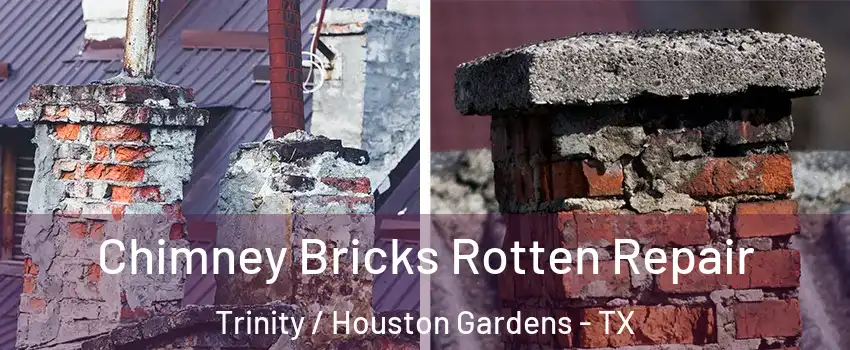 Chimney Bricks Rotten Repair Trinity / Houston Gardens - TX