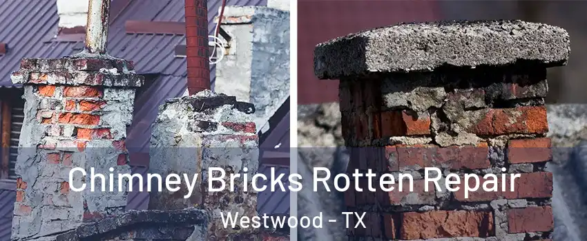 Chimney Bricks Rotten Repair Westwood - TX
