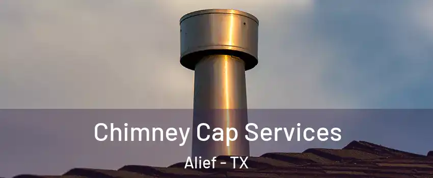 Chimney Cap Services Alief - TX
