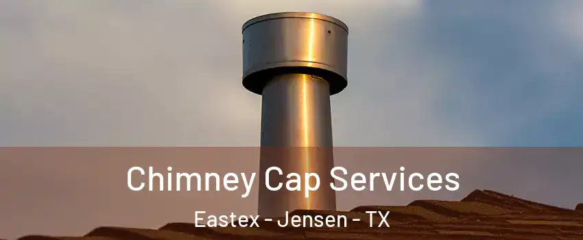 Chimney Cap Services Eastex - Jensen - TX
