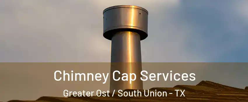 Chimney Cap Services Greater Ost / South Union - TX
