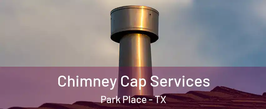 Chimney Cap Services Park Place - TX