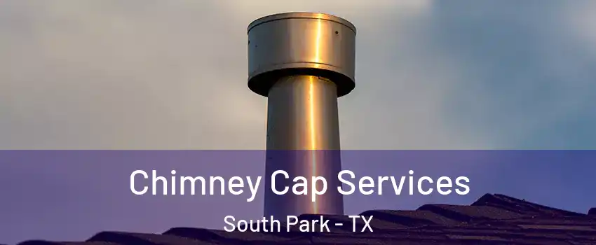 Chimney Cap Services South Park - TX