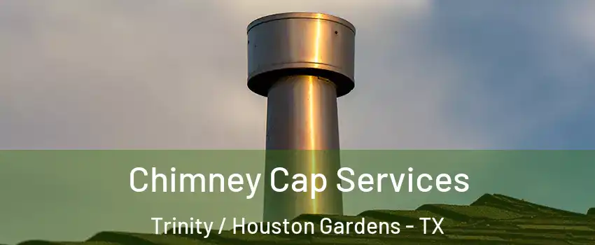 Chimney Cap Services Trinity / Houston Gardens - TX