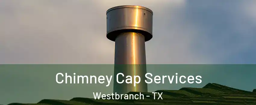 Chimney Cap Services Westbranch - TX