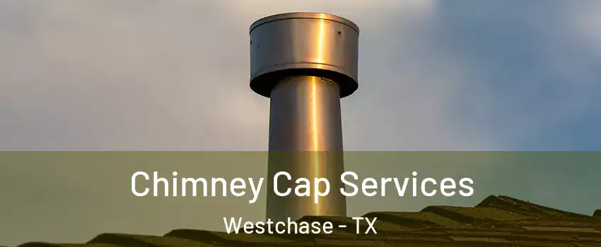 Chimney Cap Services Westchase - TX