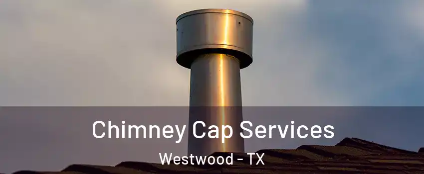 Chimney Cap Services Westwood - TX