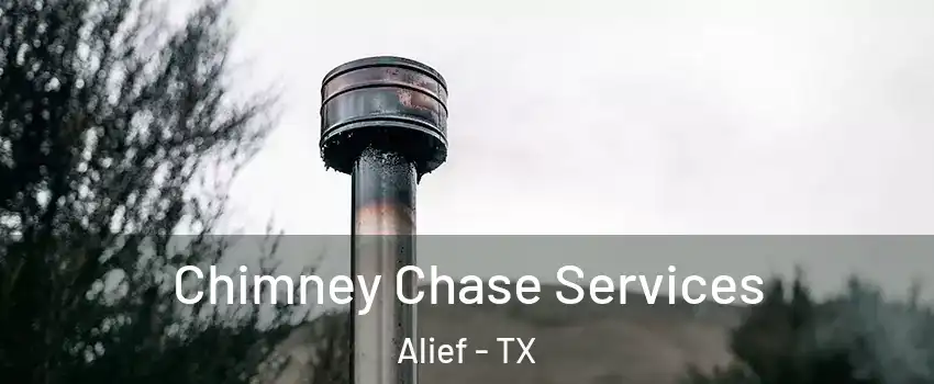 Chimney Chase Services Alief - TX
