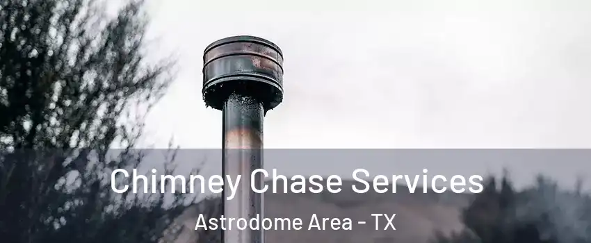 Chimney Chase Services Astrodome Area - TX