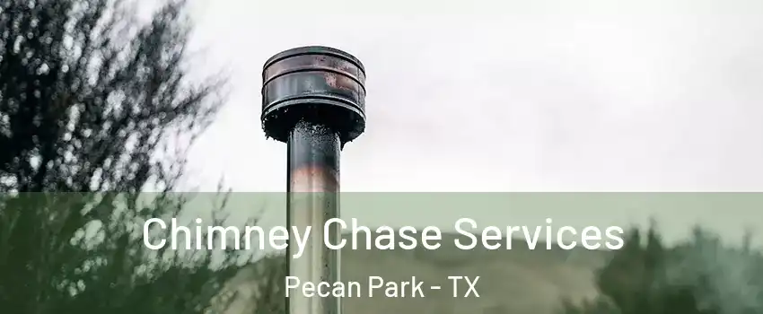 Chimney Chase Services Pecan Park - TX