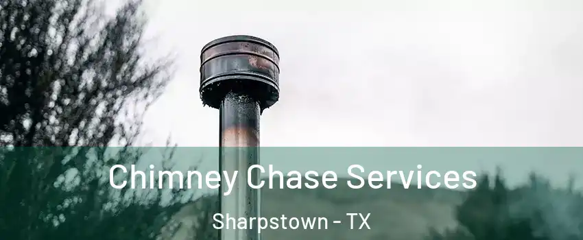 Chimney Chase Services Sharpstown - TX