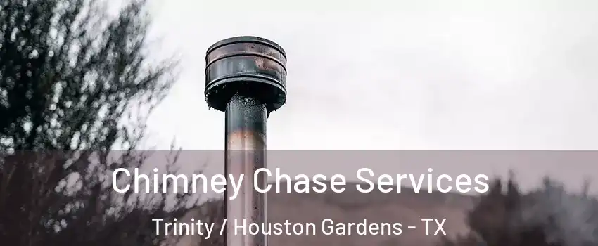 Chimney Chase Services Trinity / Houston Gardens - TX