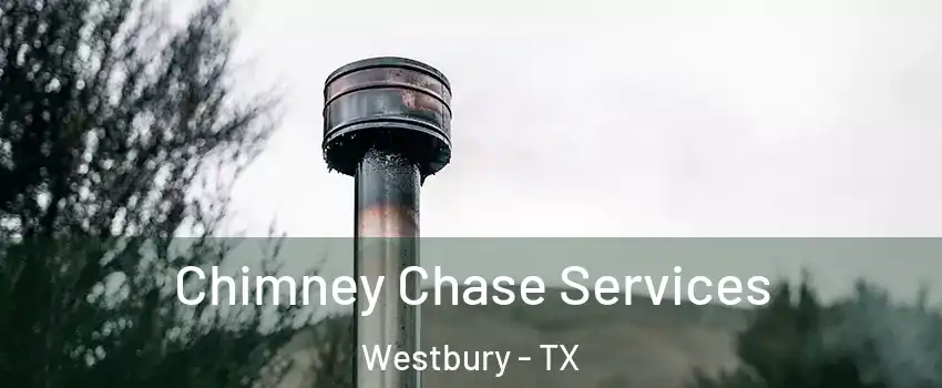 Chimney Chase Services Westbury - TX