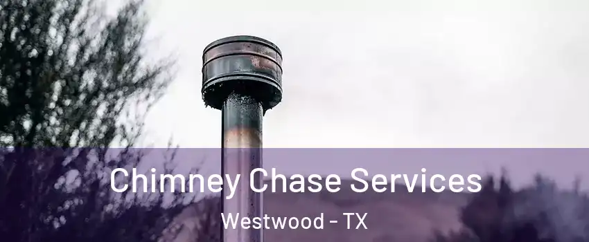 Chimney Chase Services Westwood - TX