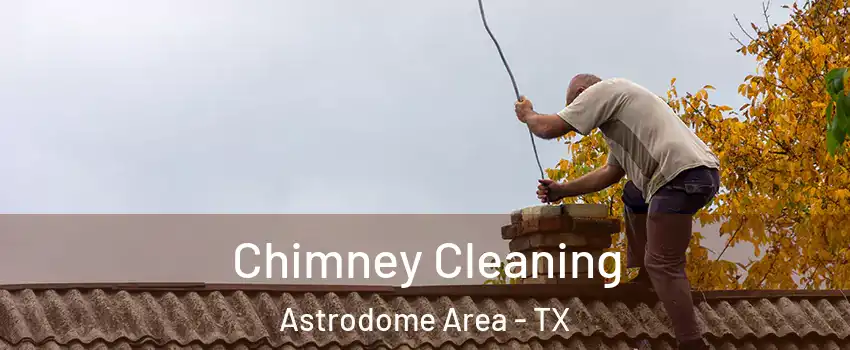 Chimney Cleaning Astrodome Area - TX