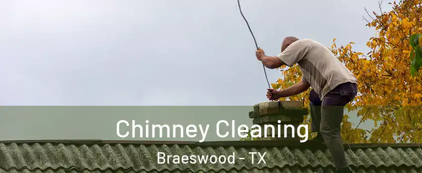 Chimney Cleaning Braeswood - TX
