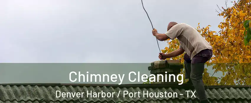 Chimney Cleaning Denver Harbor / Port Houston - TX